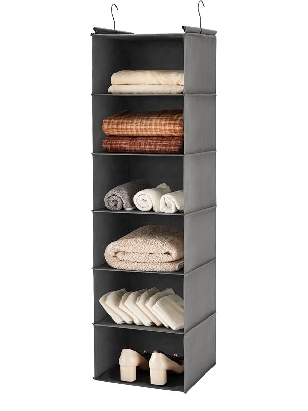 6-Tier Hanging Closet Organizer